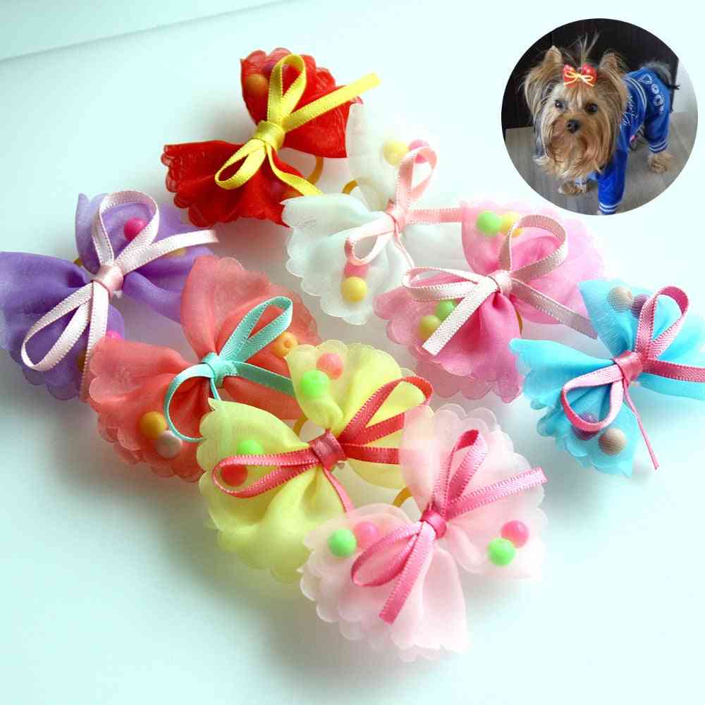 Rubber Bands Dog Hair Accessories