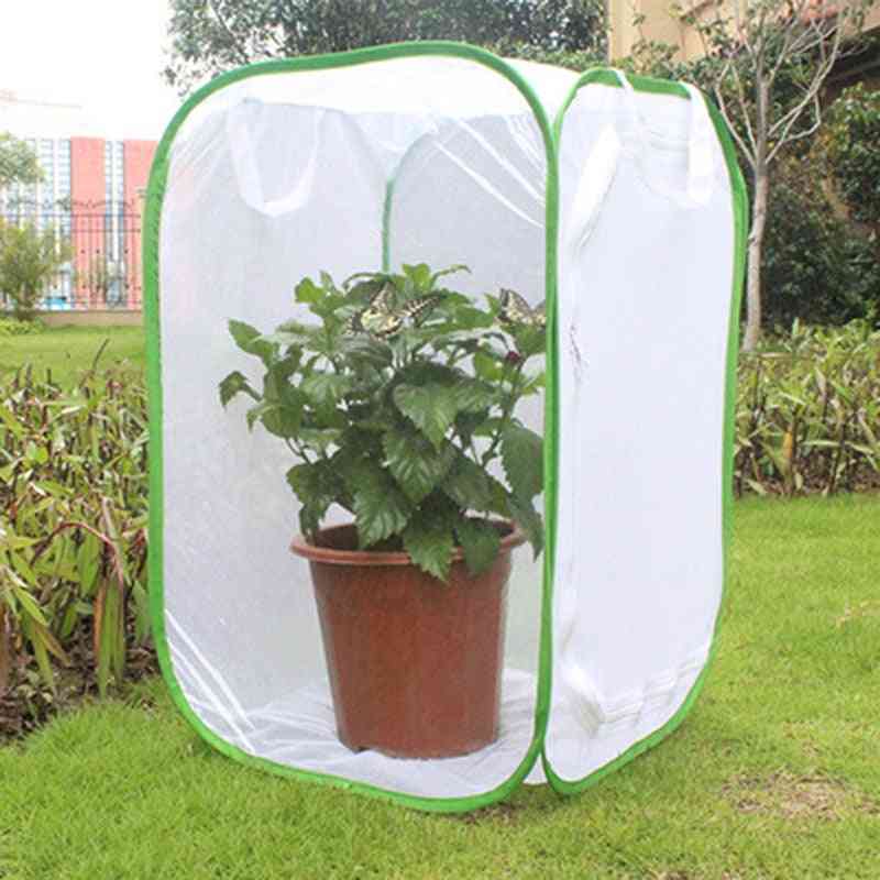 Green Collapsible Insect Cage
