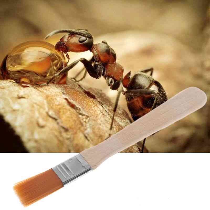 Insect Bowl Nest Clean Tool
