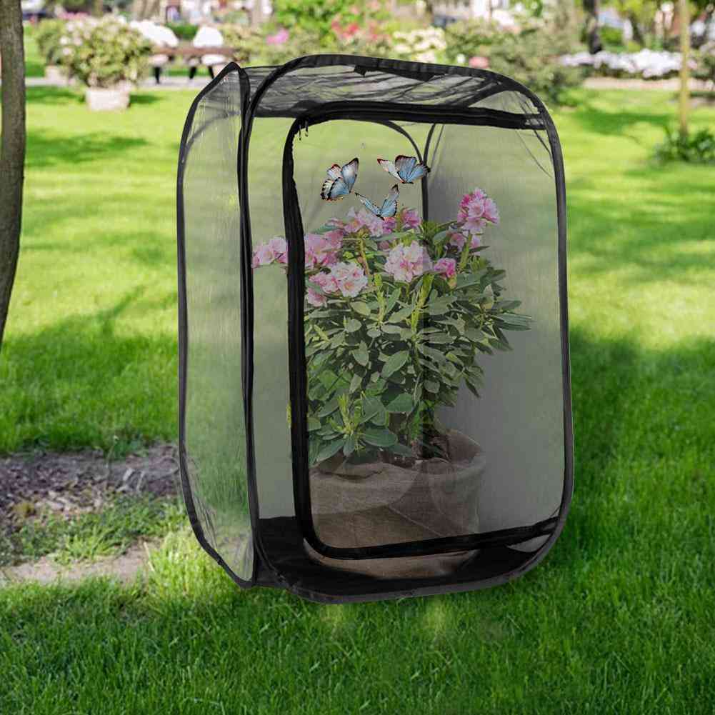 Butterfly Cage Black Mini Insect Habitat