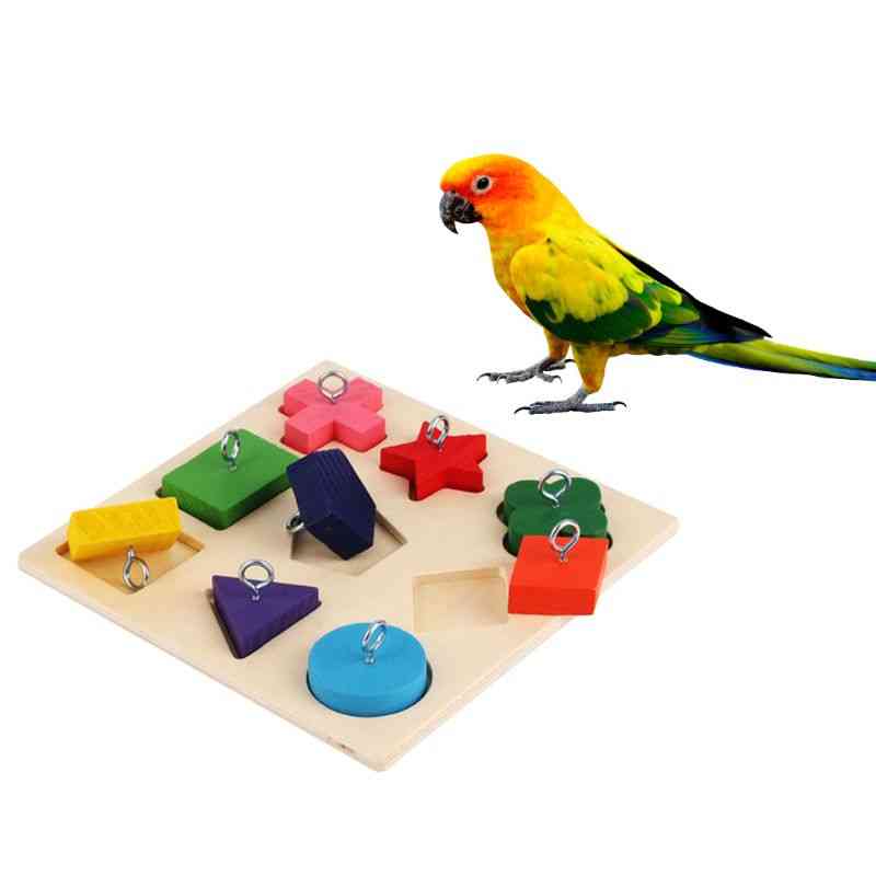 Fugle papegøje interaktiv træning farverig træblok