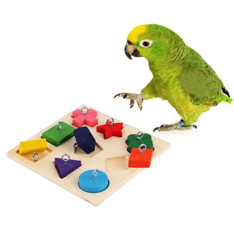 Fugle papegøje interaktiv træning farverig træblok
