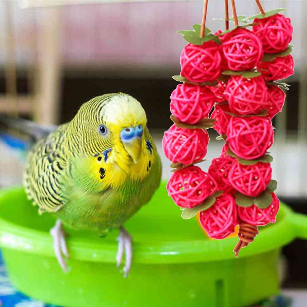 Parrots Hanging Rattan Balls Interactive Chew Toy
