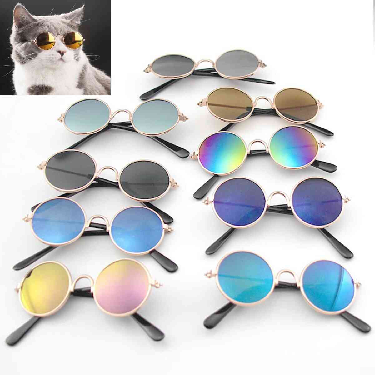 Round Cat Sunglasses