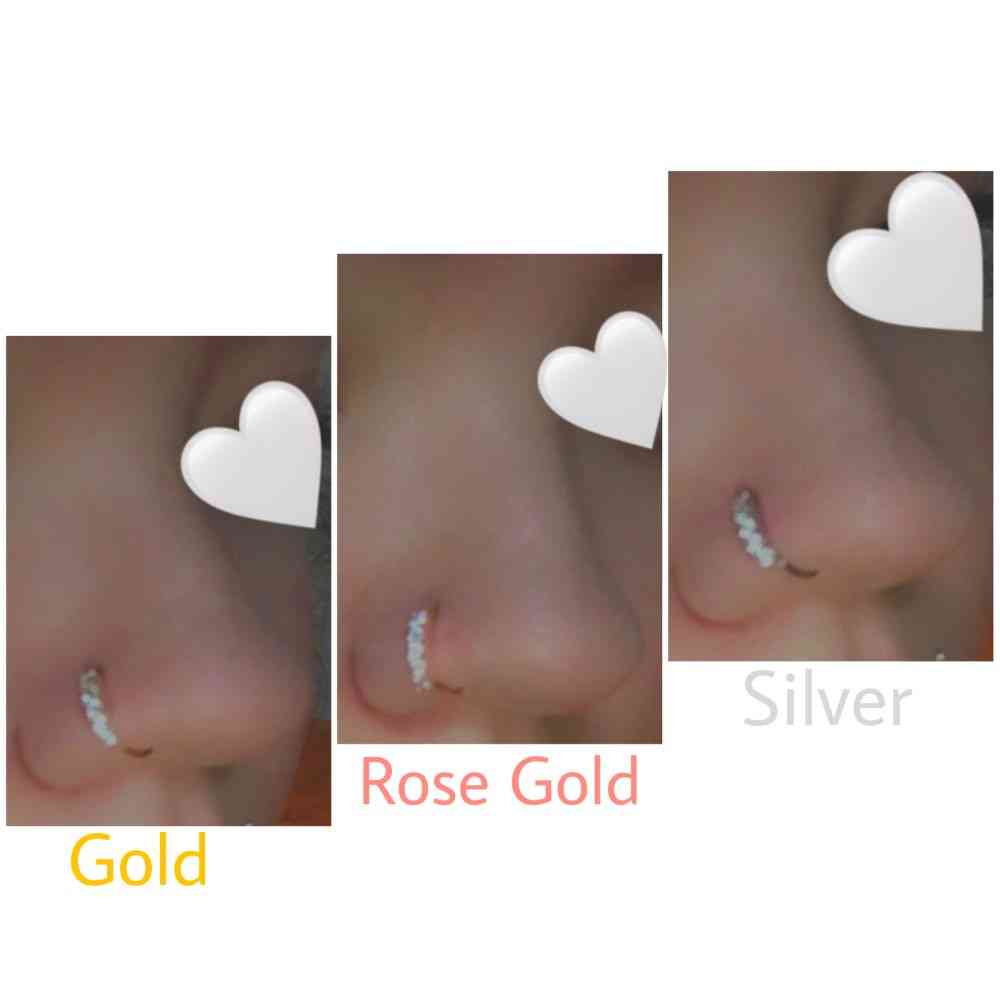 Piercing Nose Ring, Expander Seamless Segment Jewelry