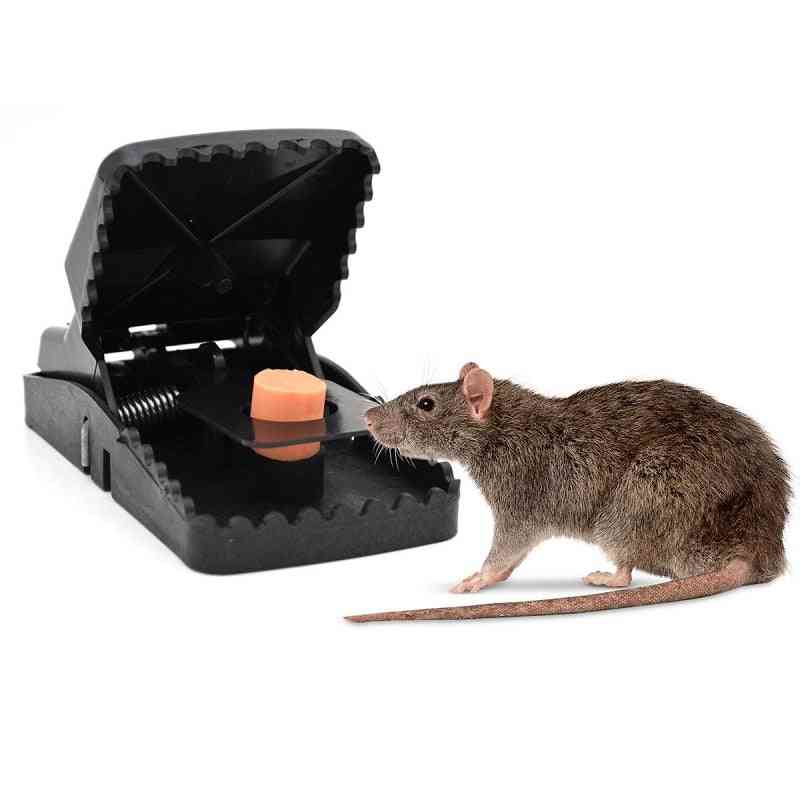 Powerful Rodent Killer Mouse Trap