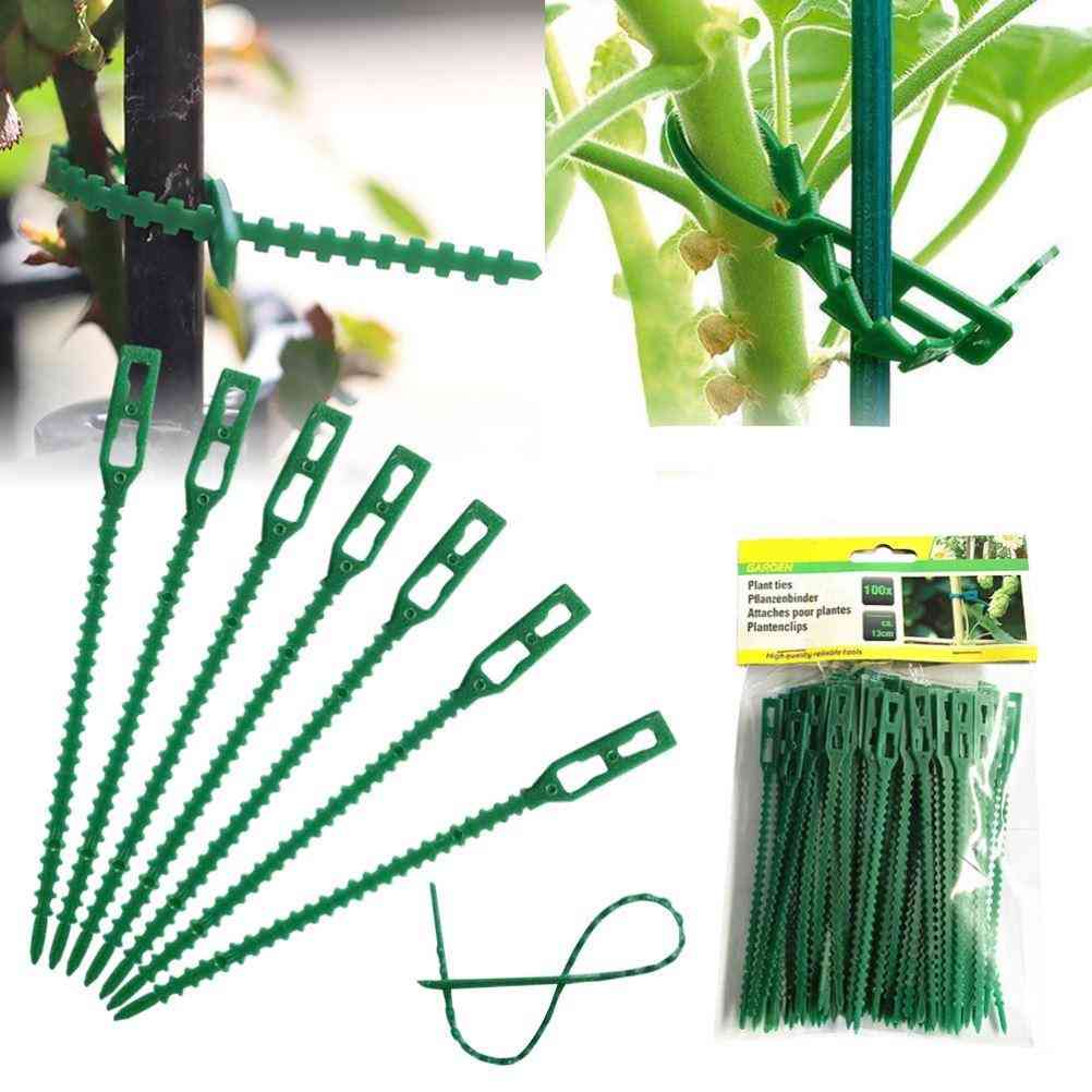 állítható műanyag növényi kábelkötegek