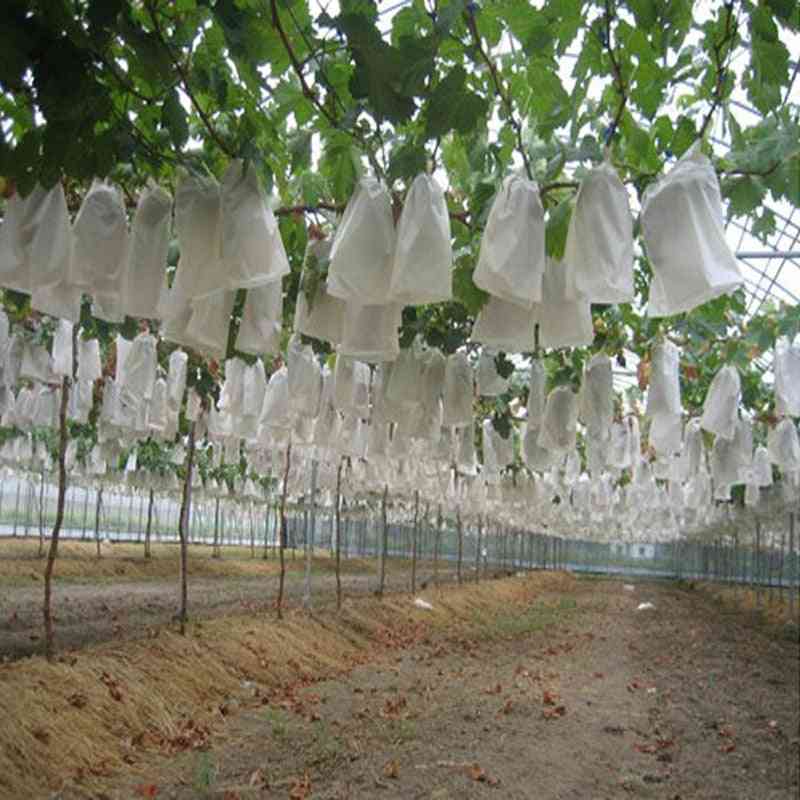 Agricultural Pest Control Anti-bird Mesh Bags