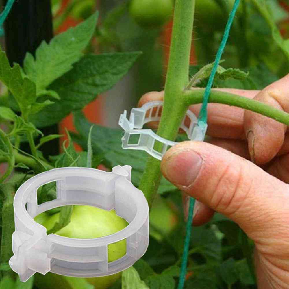 Plant Support Garden Clips Trellis For Vine Vegetable