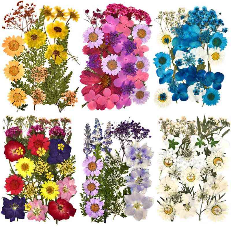 Dried Flowers Uv Resin, Natural Stickers Beauty Decal For Diy, Epoxy Resin Filling Jewelry Decoration