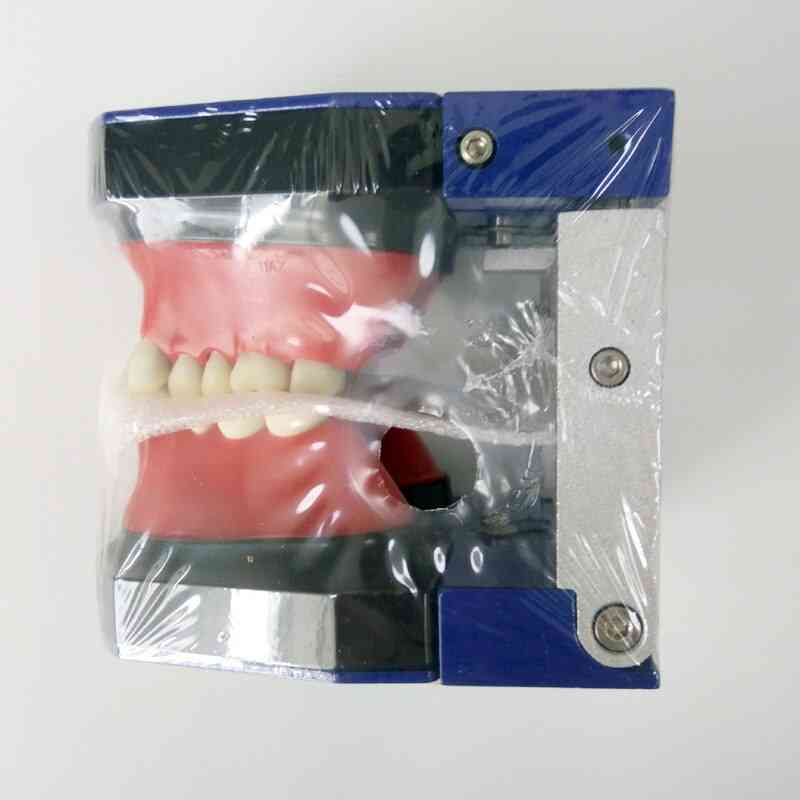 Hampaiden oikomishoidon hammasmalli