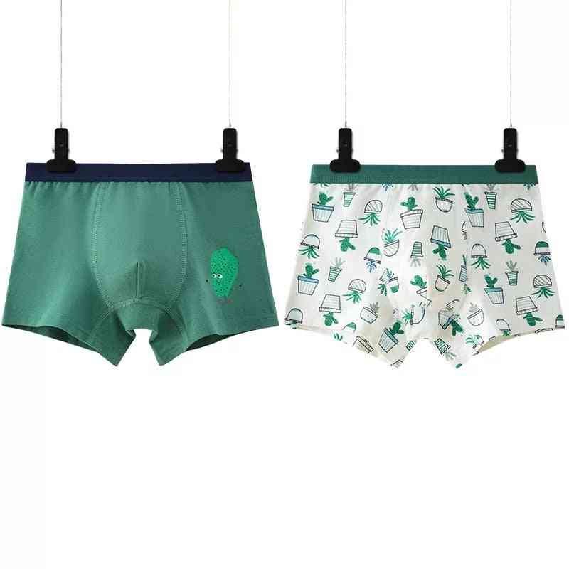 Boys Underwear, Cartoon's Shorts Panties