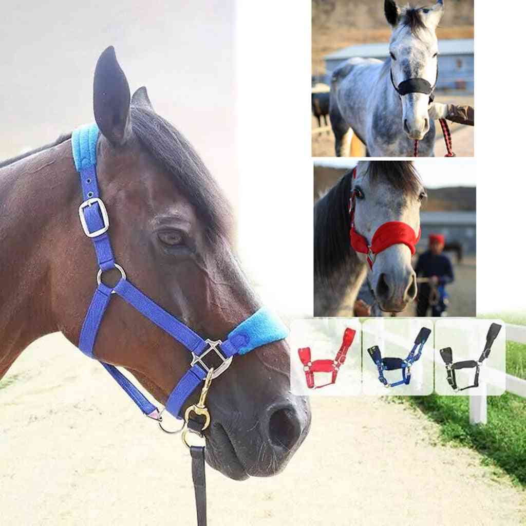 Soft Padded Pony Horse Halter Bridle Headstall Stable