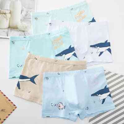 Cartoon- Cotton Boxers, Shorts Panty For Baby Boy
