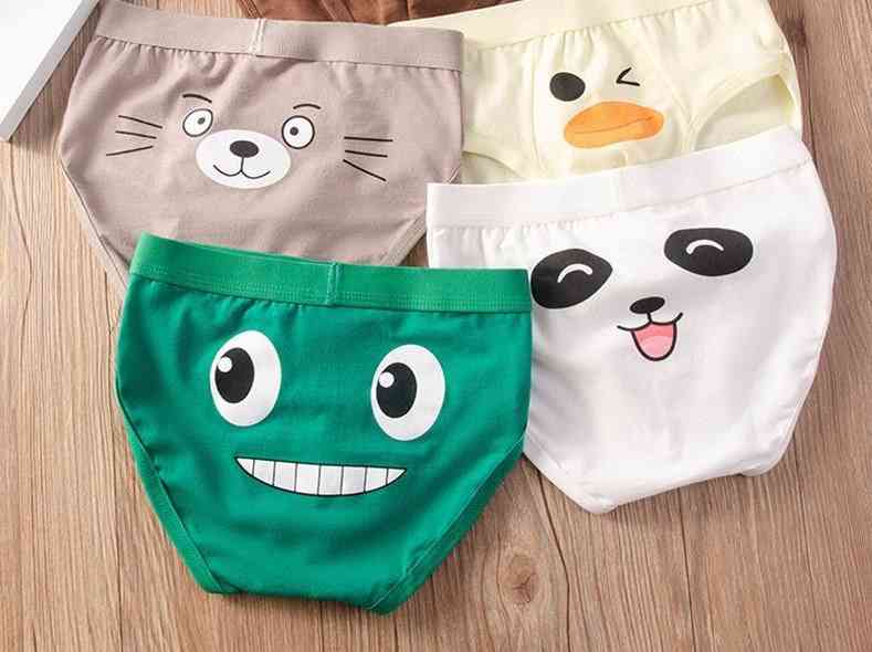 Cartoon-  Cotton Underpants, Shorts Panties For Baby Boy