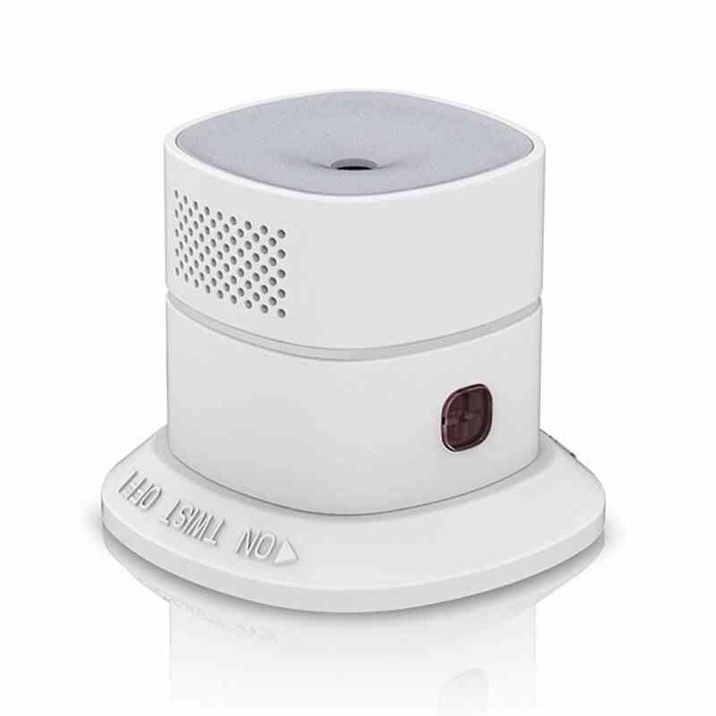 Carbon Monoxide Detector Co Gas Alarm Sensor