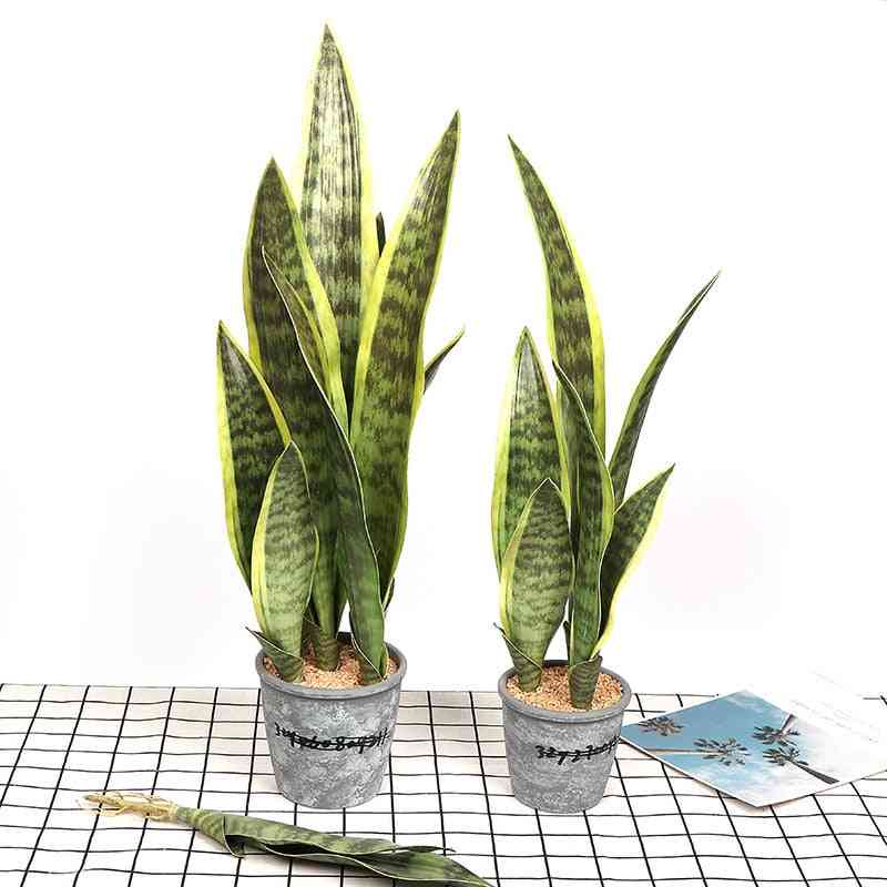 Kunstige realistiske sukkulentplanter innendørs