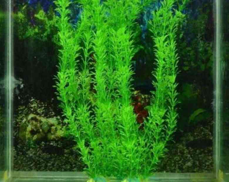 Fish Tank Green Water Grass Decor