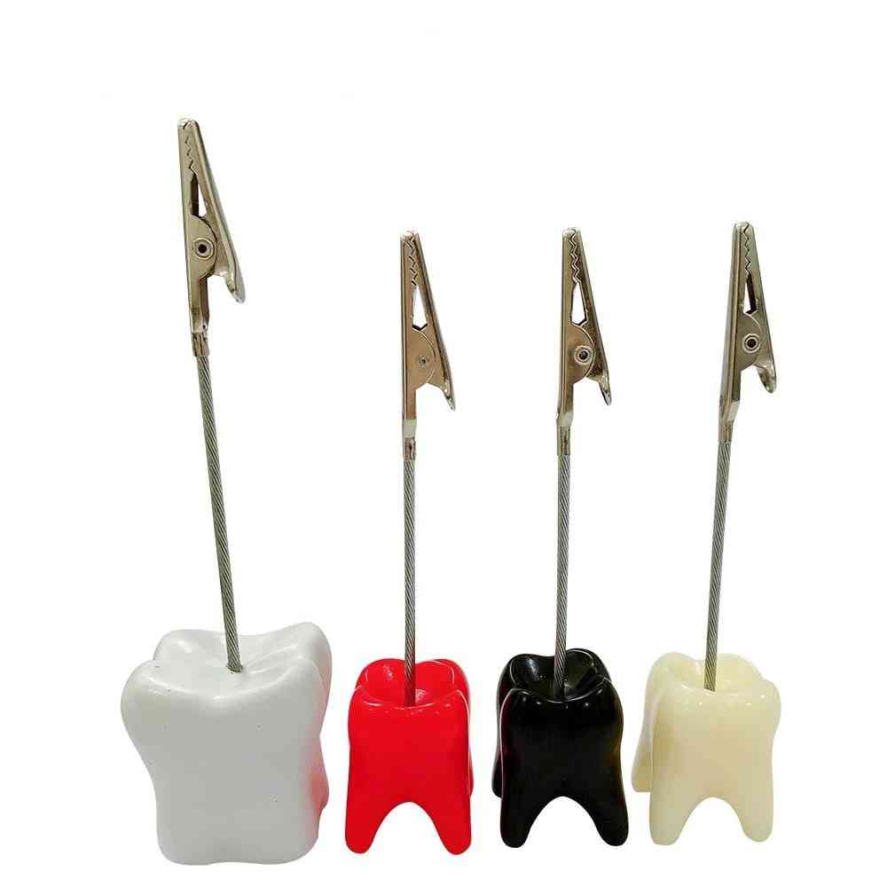 Creative Dental Business Card Holder, Tooth Shaped Desk Display