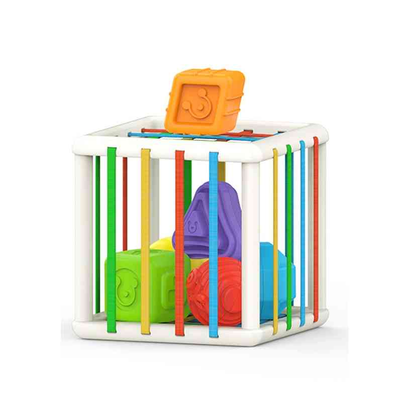 Colorful Shape Blocks Sorting Game Baby Montessori Learning Educational