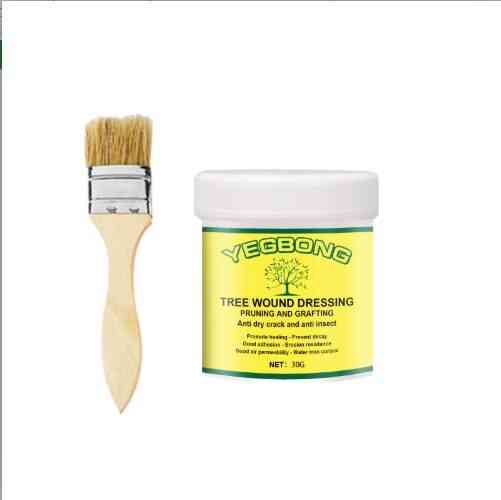 Plant Tree Wound Cut Paste Smear Agent Pruning Compound