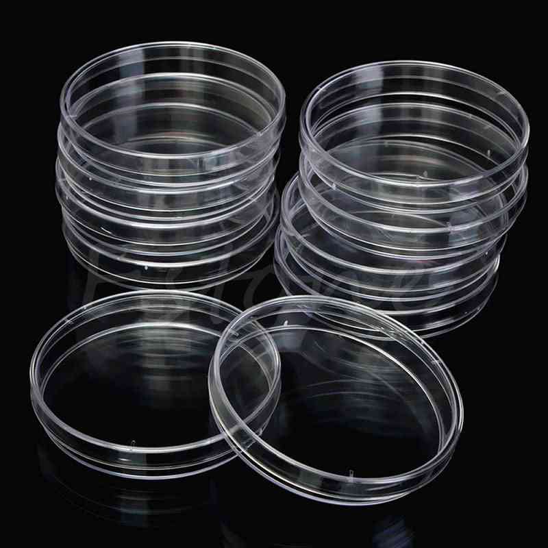 Plastic Petri Dishes Lb Plate Bacterial Yeast