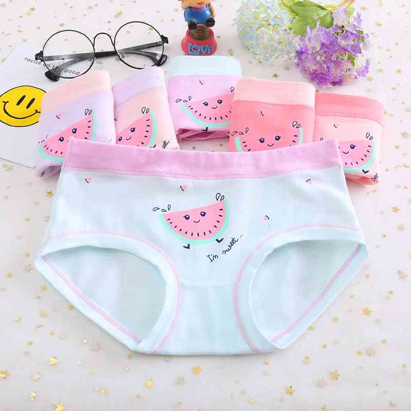 New Cotton Panties For Babies