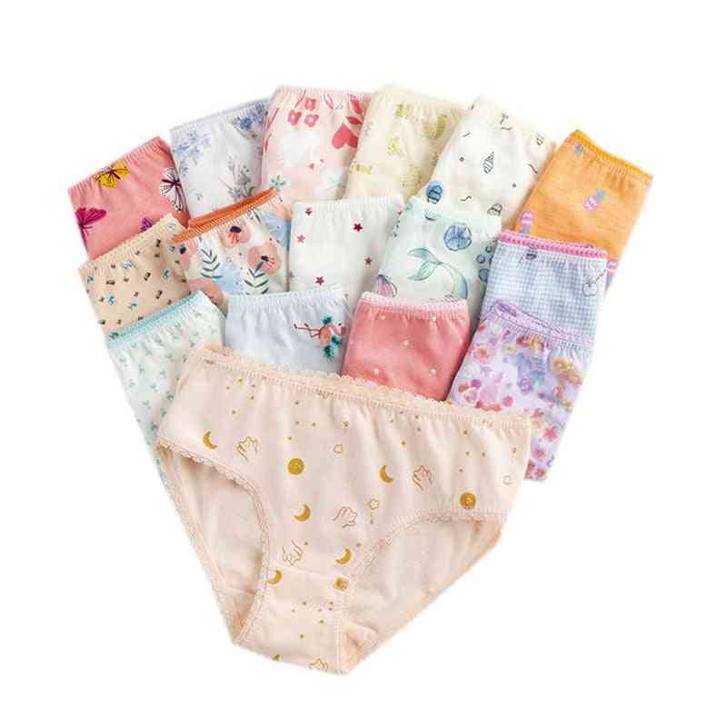 Children Cotton Briefs / Underpants For /