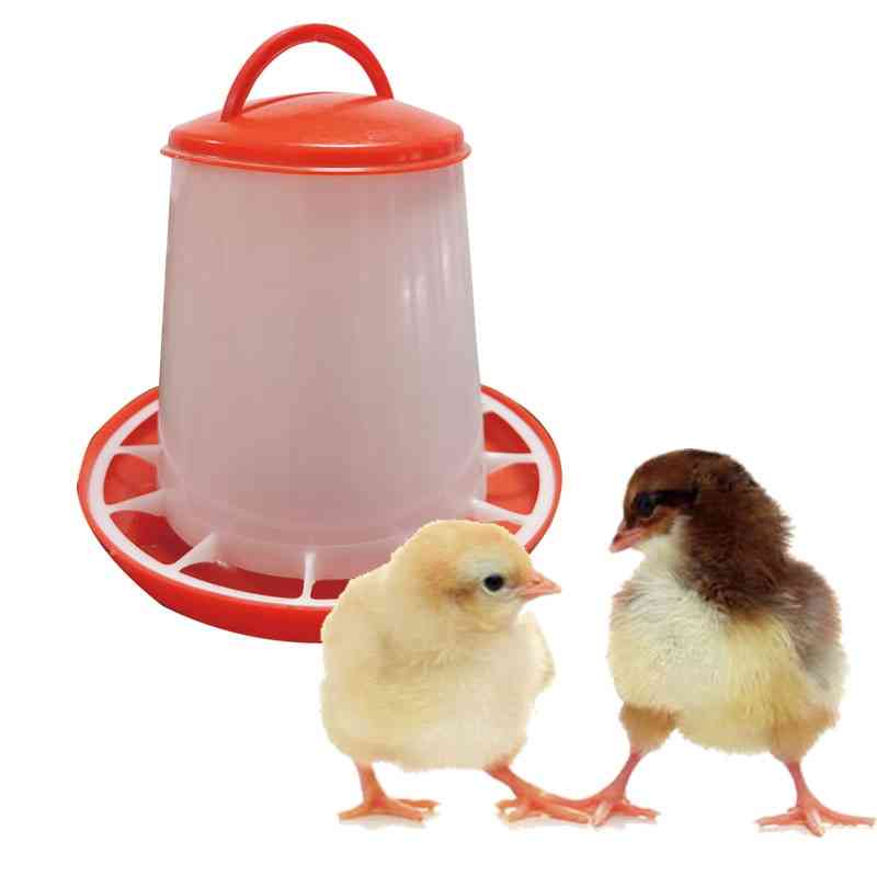 Plastic Chicken Duck Feeder Bucket Tool