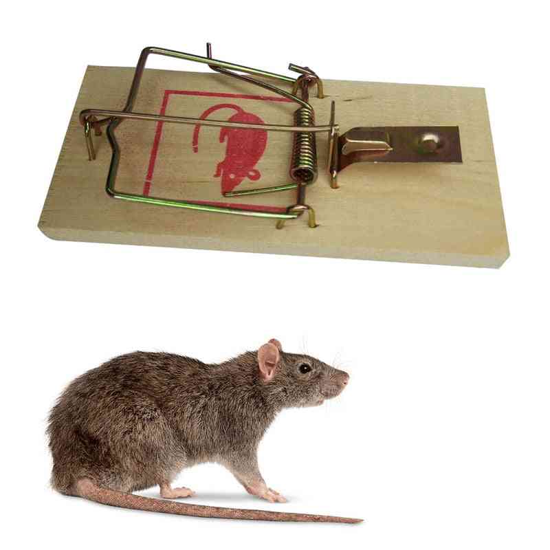 Outdoor Reusable Wooden Mouse Traps