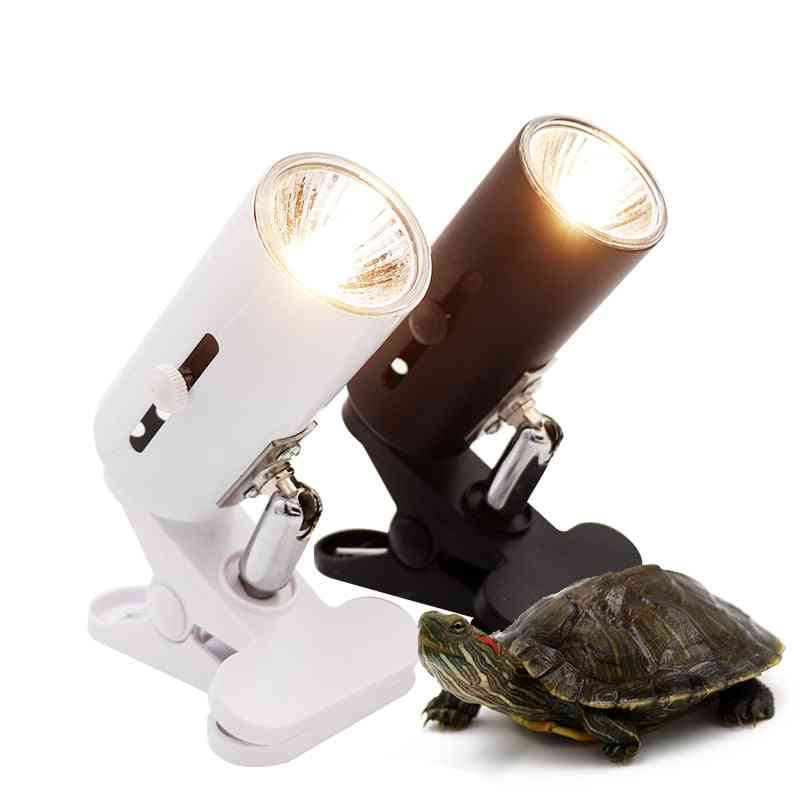 Uva Reptile Lamp Kit