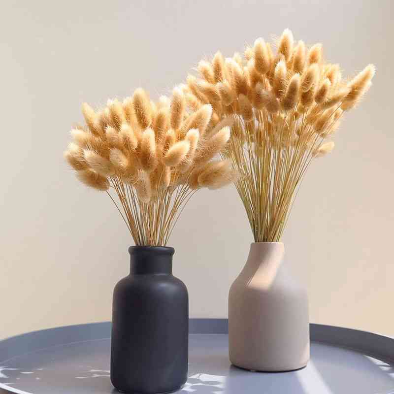 Natural Dried Flowers Rabbit Tail Grass Ornaments Ovatus Real Bouquet