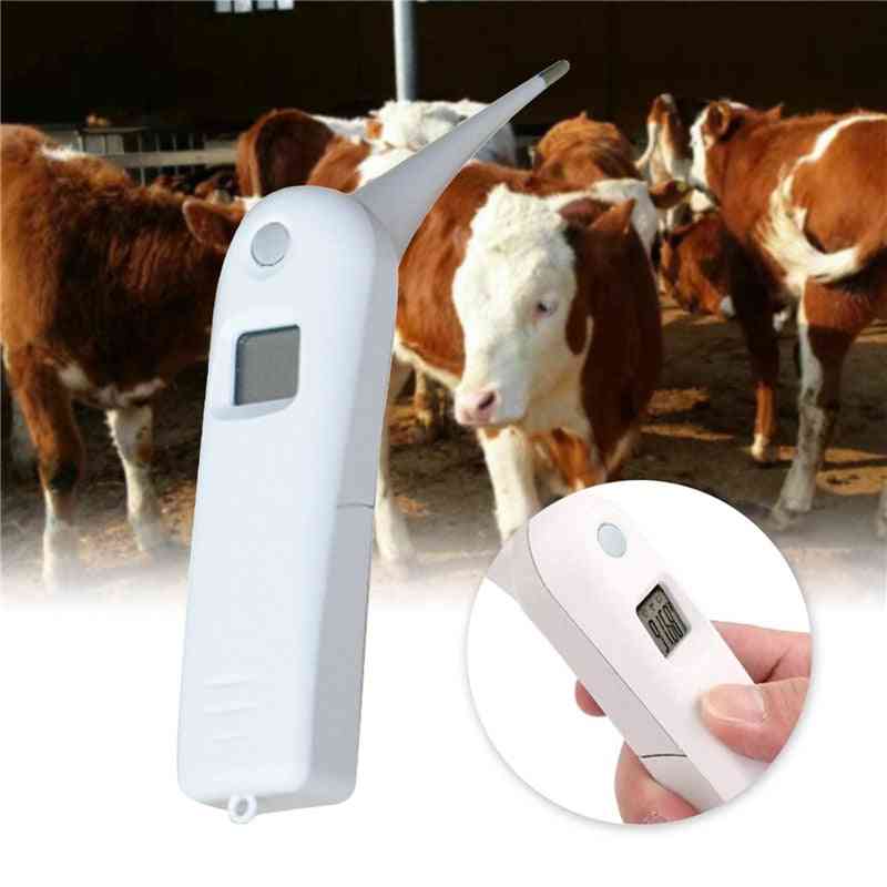 Pet Veterinary Animal Electronic Thermometer