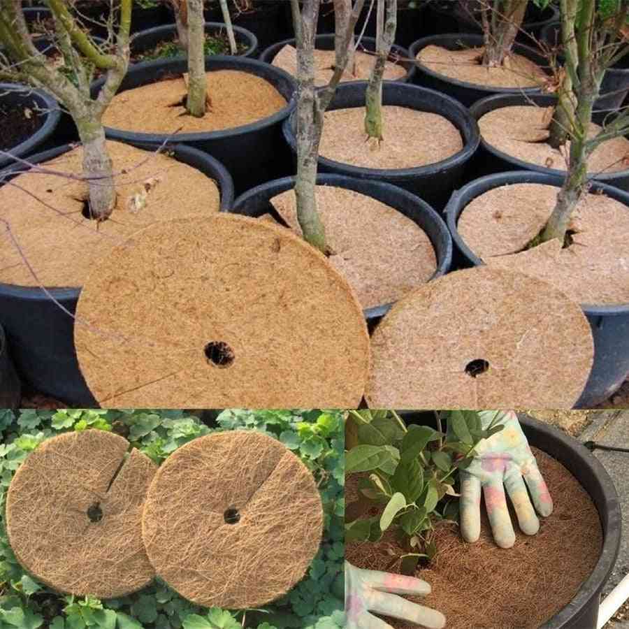 Natural Coco Coir Fiber Tree Mulch Ring - Organic Mat