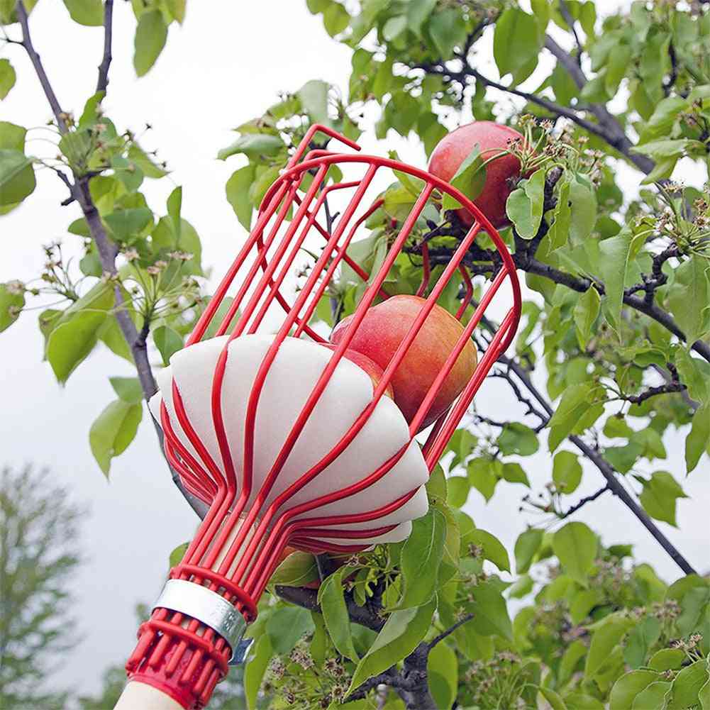 Metal Fruit Picker Fruits Collection Picking Head Tool