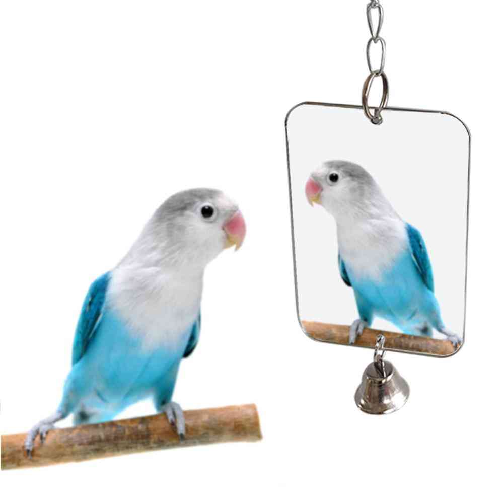 Parrot Bird Parakeet Hanging Mirror Bell