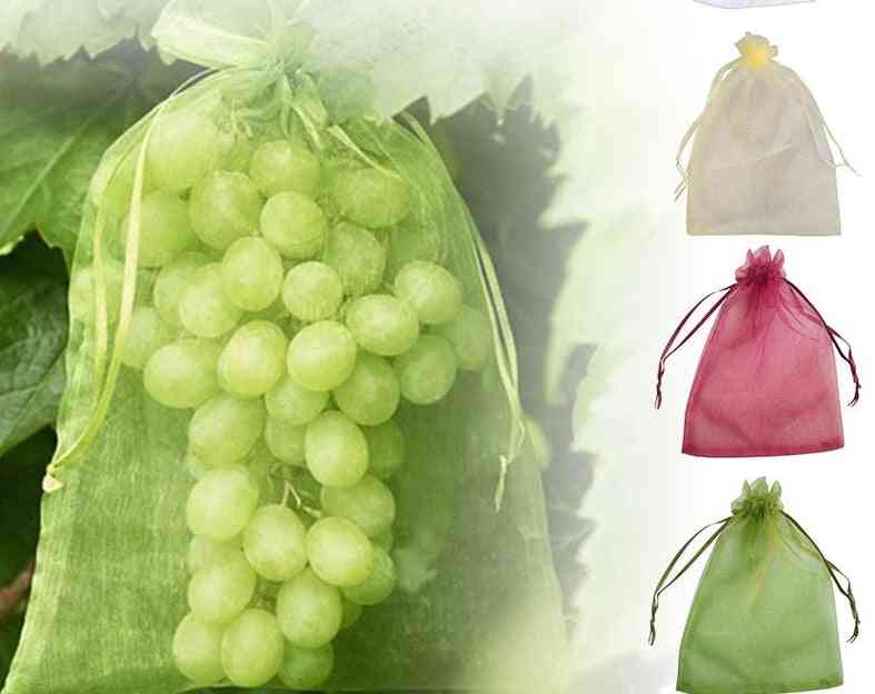 Strawberry Grapes Fruit Protection Bags Pest Control