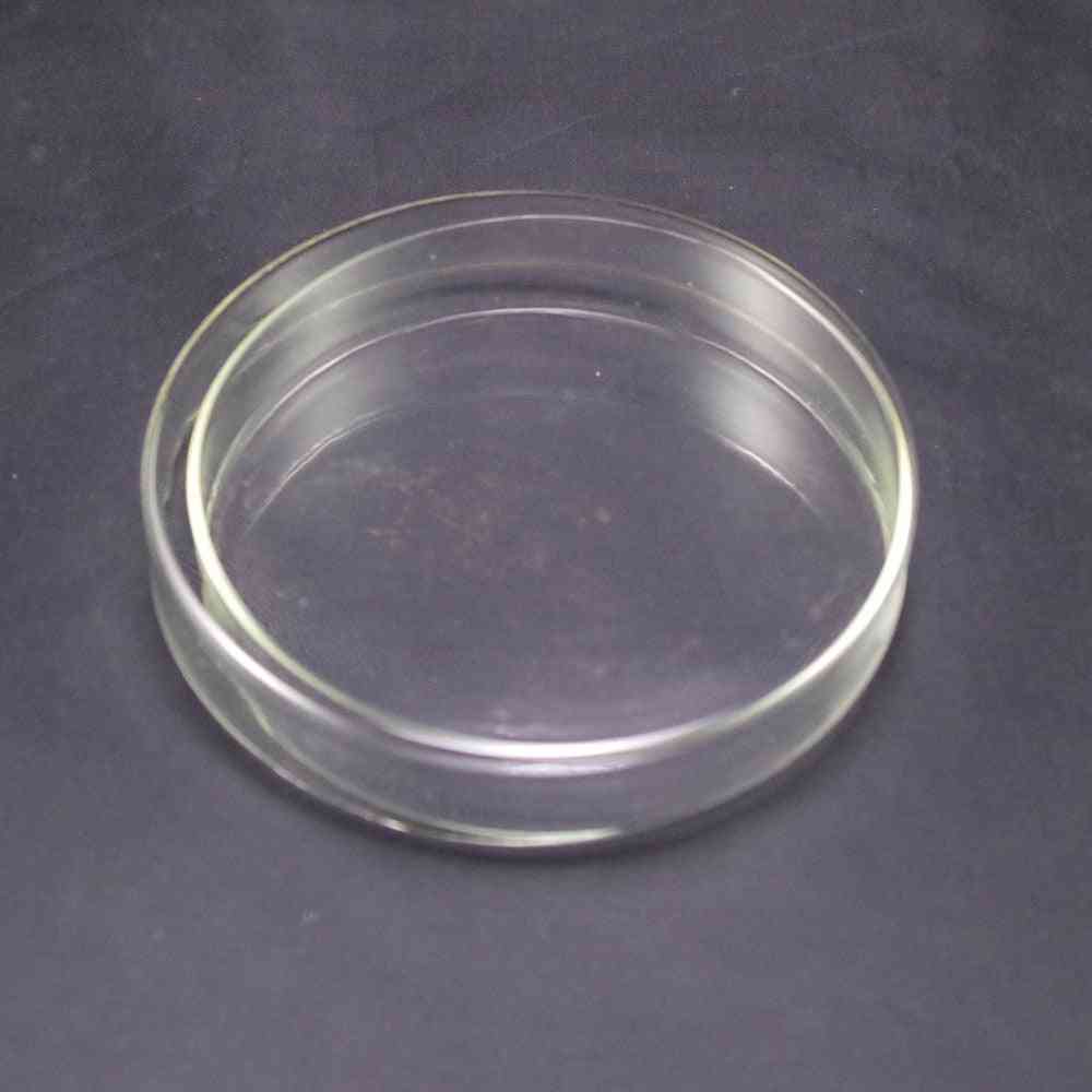 Clear Glass Petri Dishes With Lids