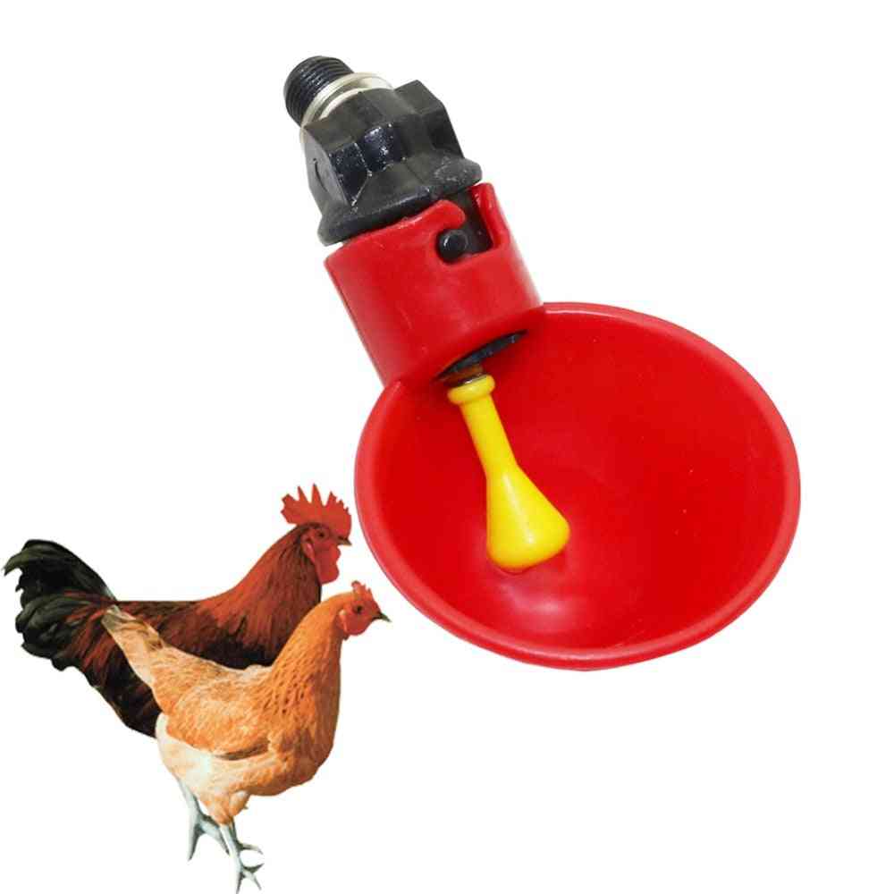 Poultry Water Drinking Cup