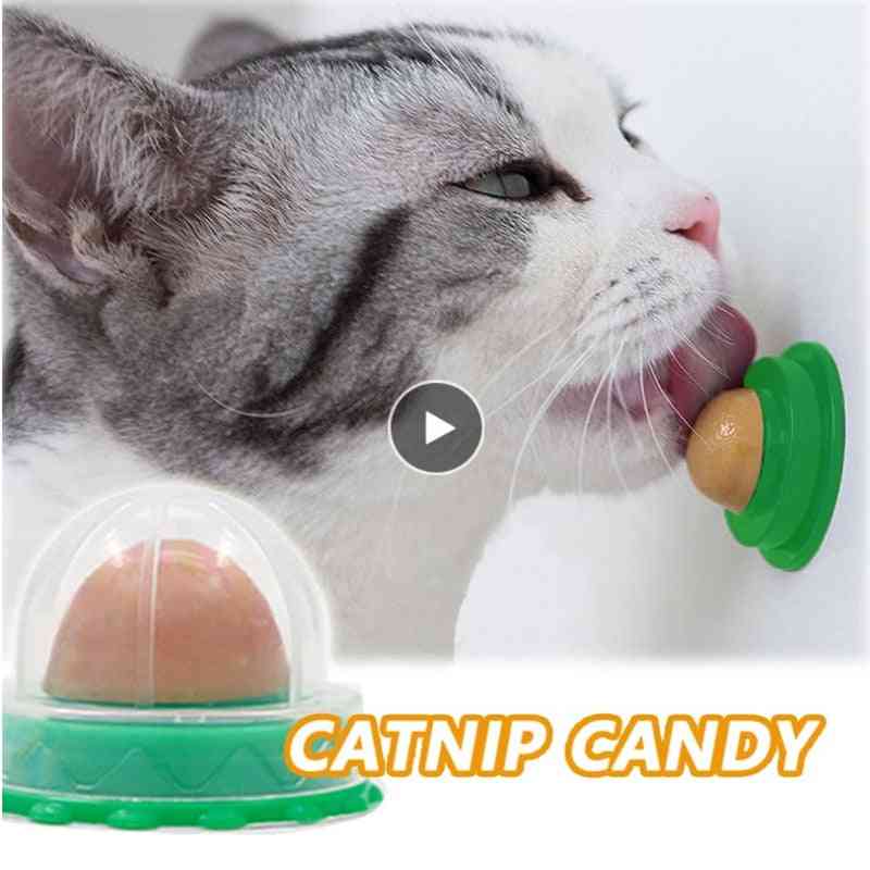 Vitaminpudding kattmynta klubba för katt