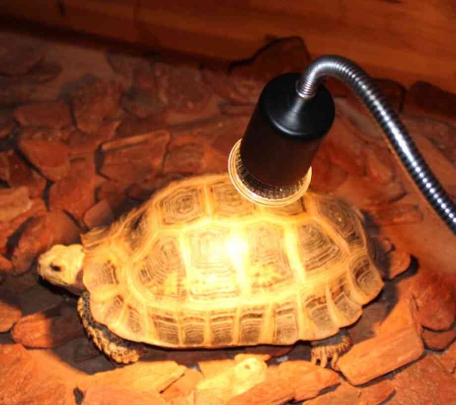 Reptile Uv Lamp Pet Turtle Heating Bulb