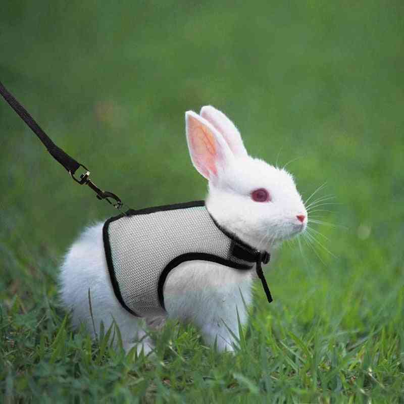 Pet Accessories Rabbit Harnesses Vest Leashes Set Soft Mesh Harness With Leash Small Animal Guinea Pig Hamsters