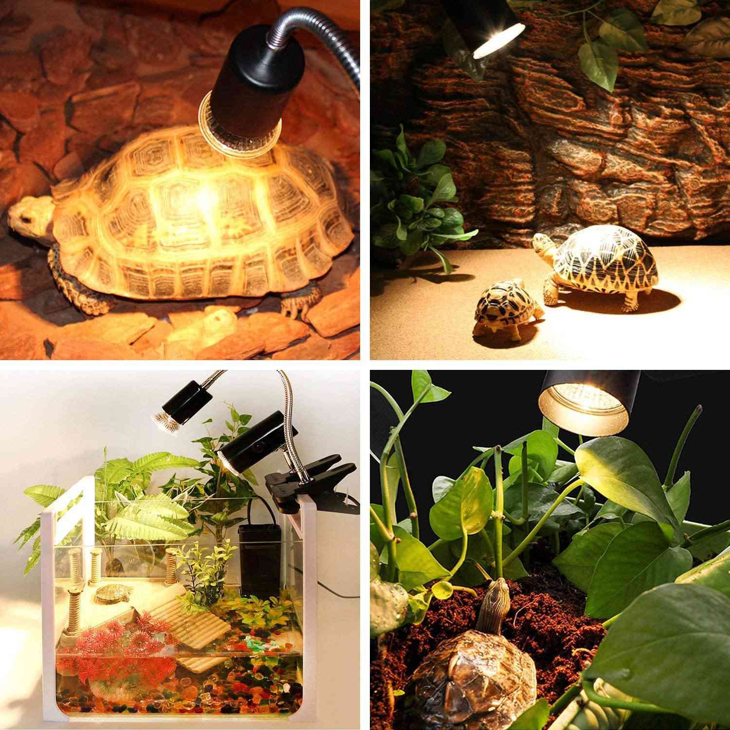 Reptile  Lizards Temperature Controller Light Bulbs