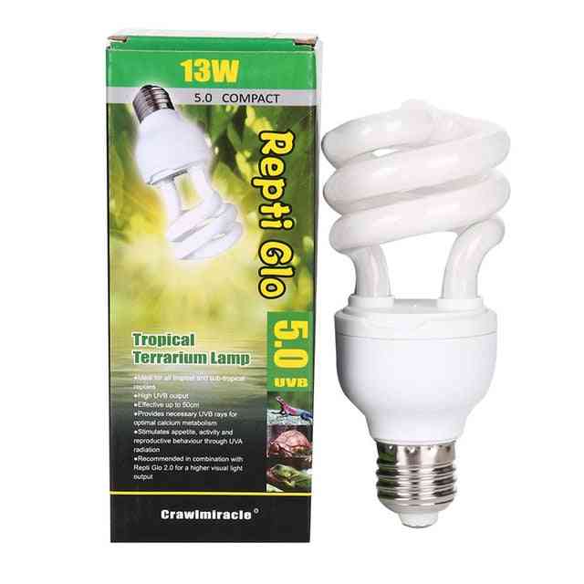 13w Reptile Light Bulb